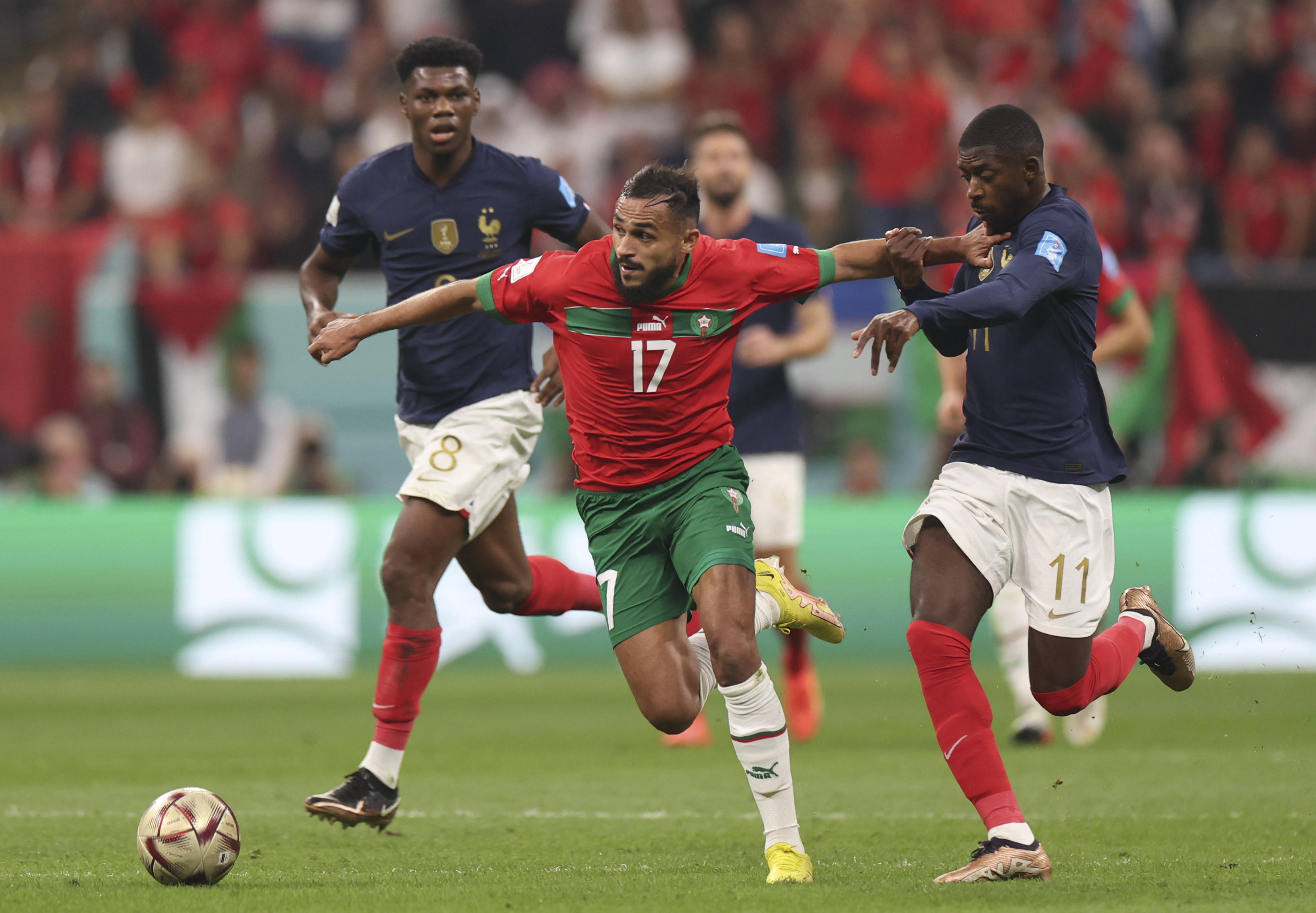 对于球员和 对于球员和