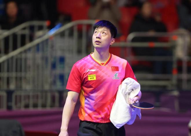 运动赛事的 运动赛事的