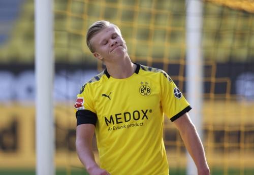 可以预见 可以预见